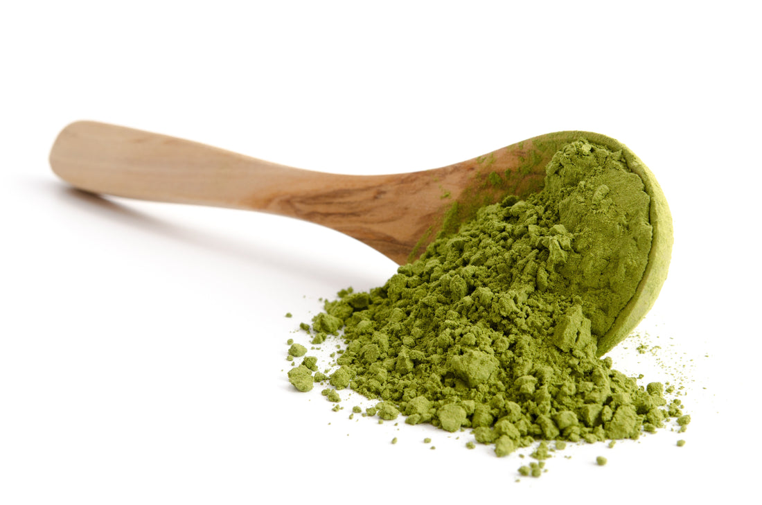 Use Moringa and Say Goodbye to Skin Problems