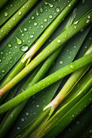 40% Zinc Magic Balm – Drought Secret